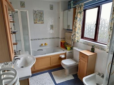 Picture 19